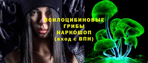 прущий лед Дмитриев