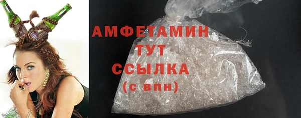 прущий лед Дмитриев