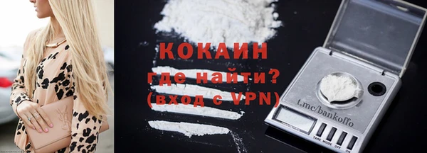 прущий лед Дмитриев