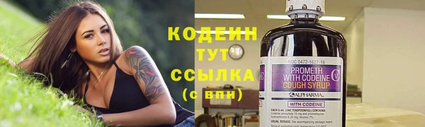 прущий лед Дмитриев