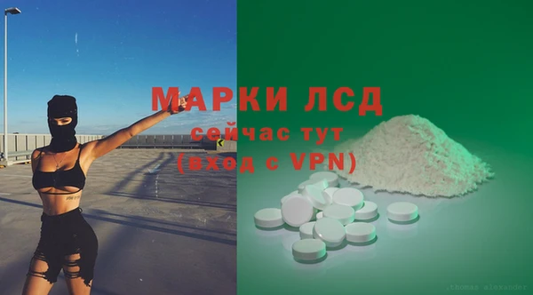прущий лед Дмитриев