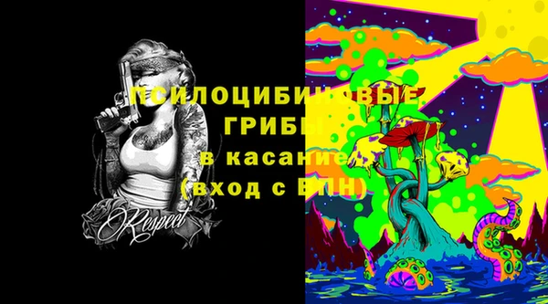 спайс Дмитровск