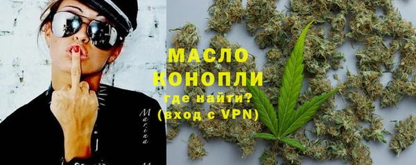 прущий лед Дмитриев