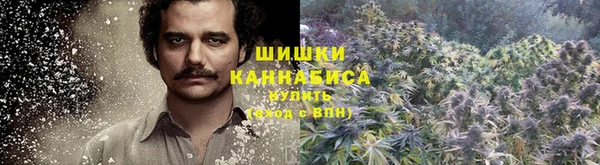 прущий лед Дмитриев