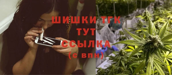 прущий лед Дмитриев