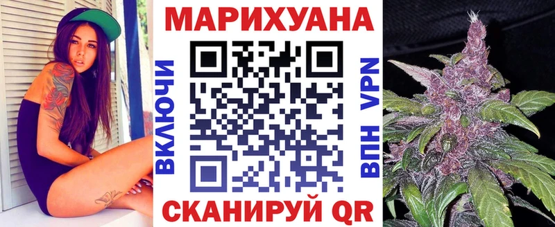 Купить где Осинники МАРИХУАНА SATIVA & INDICA
